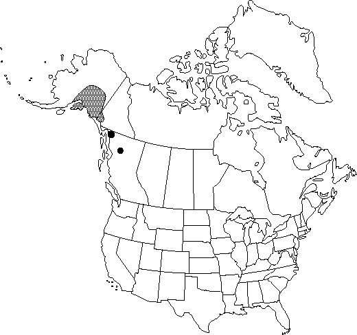 Map of <i>Papaver alboroseum</i> in Canada