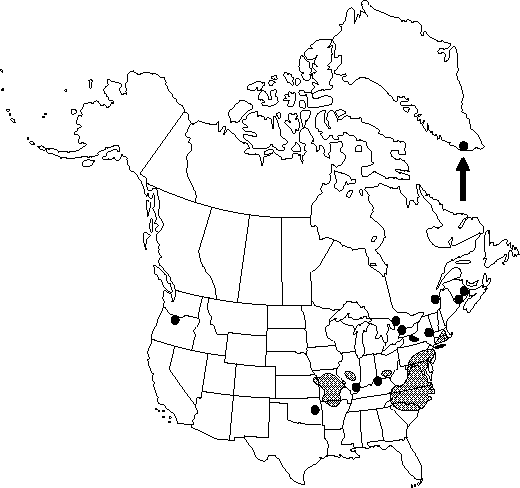 Map of Long-headed poppy in Canada