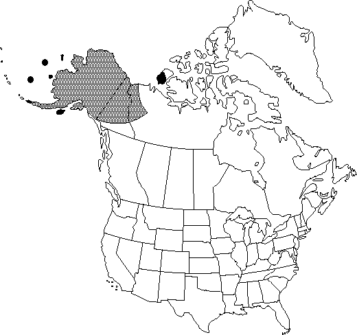 Map of <i>Papaver macounii discolor</i> in Canada