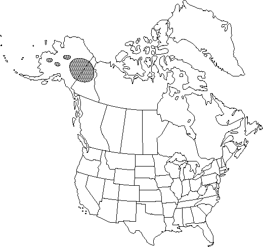 Map of <i>Papaver nudicaule americanum</i> in Canada