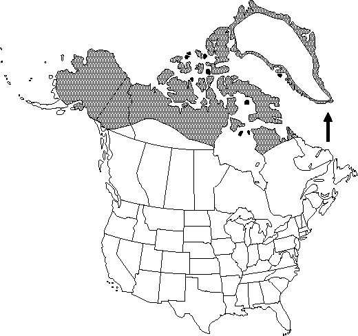 Map of <i>Papaver radicatum radicatum</i> in Canada