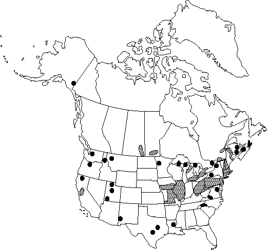 Map of Common poppy, corn poppy, field poppy, Flanders poppy in Canada