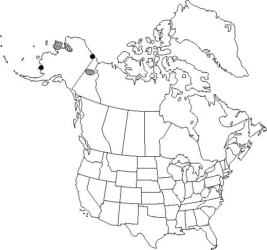 Map of <i>Papaver walpolei </i> in Canada
