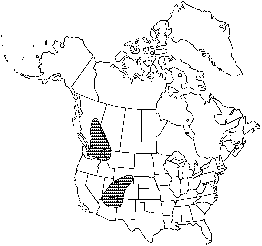 Map of <i>Pellaea glabella simplex</i> in Canada