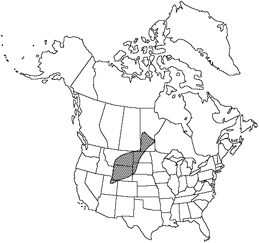 Map of <i>Pellaea glabella occidentalis </i> in Canada