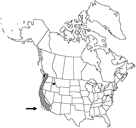 Map of <i>Pentagramma triangularis triangularis </i> in Canada