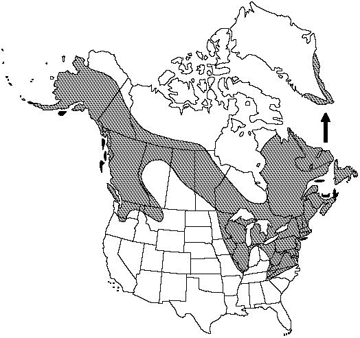 Map of Northern beech fern, narrow beech fern in Canada
