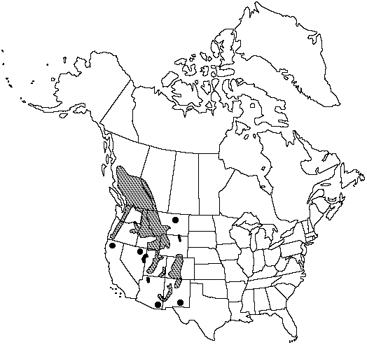 Map of Engelmann spruces, mountain spruce, Columbian spruce, silver spruce, white spruce in Canada