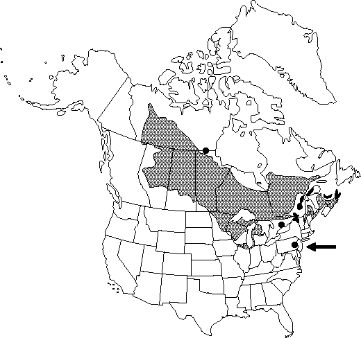 Map of Jack pine in Canada