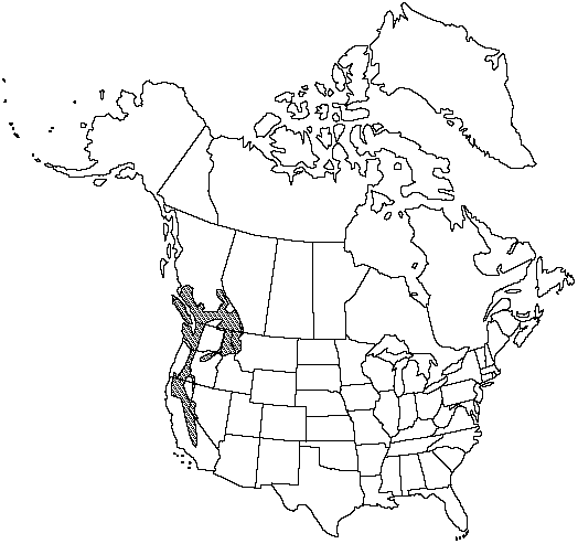 Map of Western white pine in Canada