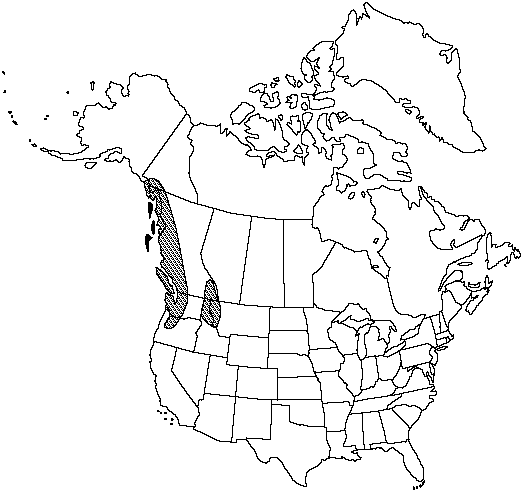 Map of Anderson's sword fern in Canada