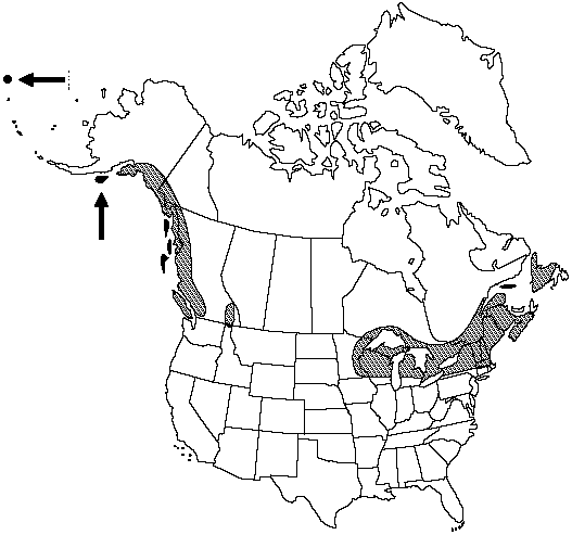 Map of Braun's holly fern in Canada