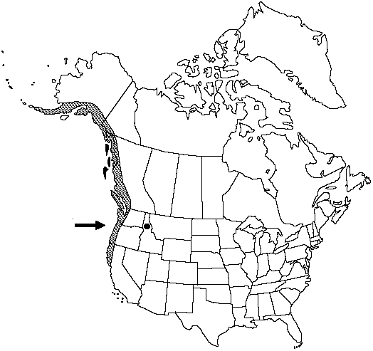 Map of Licorice fern in Canada