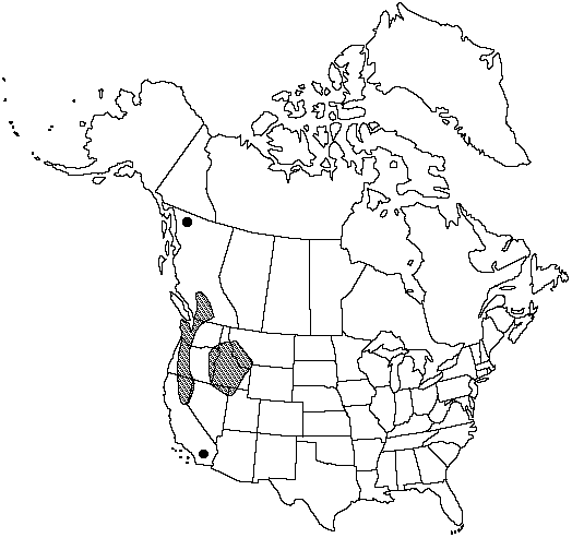Map of Kruckeberg's holly fern in Canada