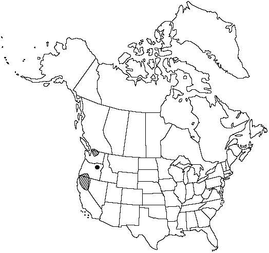 Map of Shasta fern in Canada