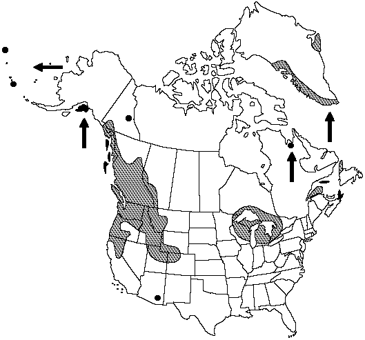 Map of Holly fern in Canada