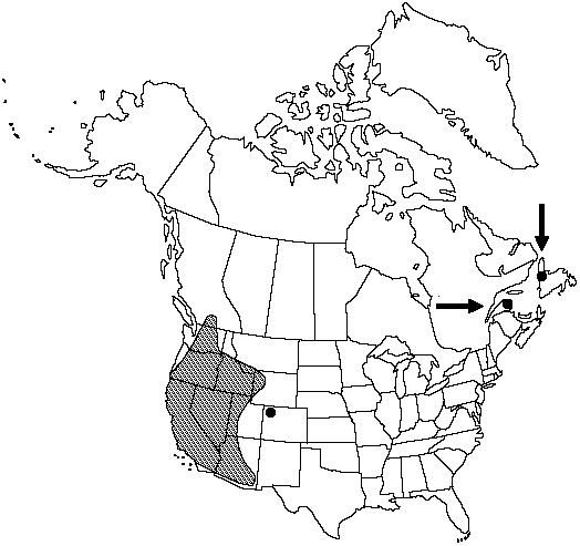 Map of Rock sword fern in Canada
