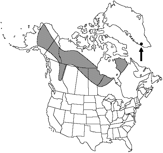 Map of <i>Polypodium sibiricum</i> in Canada