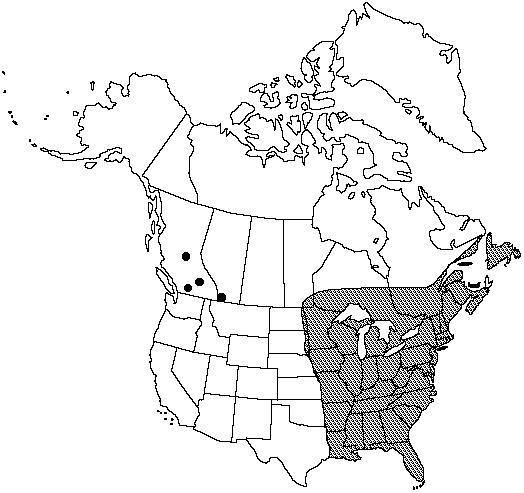 Map of Eastern bracken in Canada