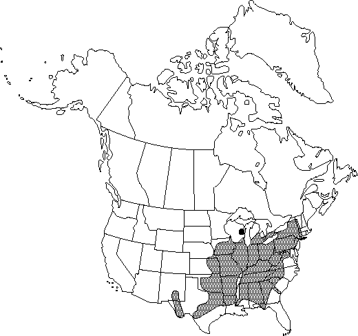 Map of Chinkapin oak, chinquapin oak, yellow chestnut oak in Canada