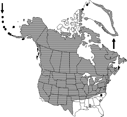 Map of <i>Ranunculus aquatilis diffusus</i> in Canada