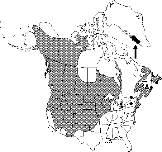 Map of <i>Ranunculus cymbalaria</i> in Canada