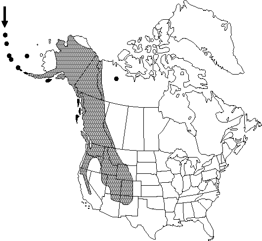 Map of <i>Ranunculus eschscholtzii eschscholtzii</i> in Canada