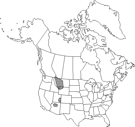 Map of <i>Ranunculus eschscholtzii eximius</i> in Canada