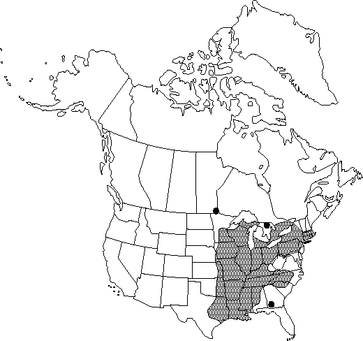 Map of <i>Ranunculus fascicularis</i> in Canada