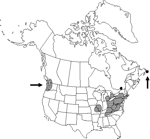 Map of Lesser celandine, pilewort in Canada
