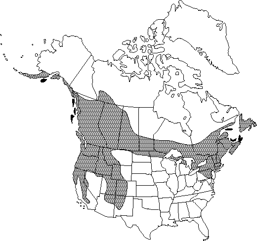 Map of <i>Ranunculus flammula ovalis</i> in Canada