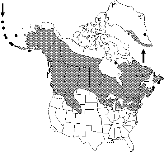 Map of <i>Ranunculus flammula reptans</i> in Canada