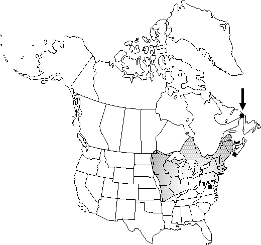 Map of <i>Ranunculus hispidus caricetorum</i> in Canada