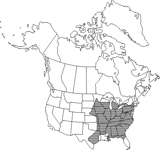 Map of <i>Ranunculus hispidus nitidus</i> in Canada