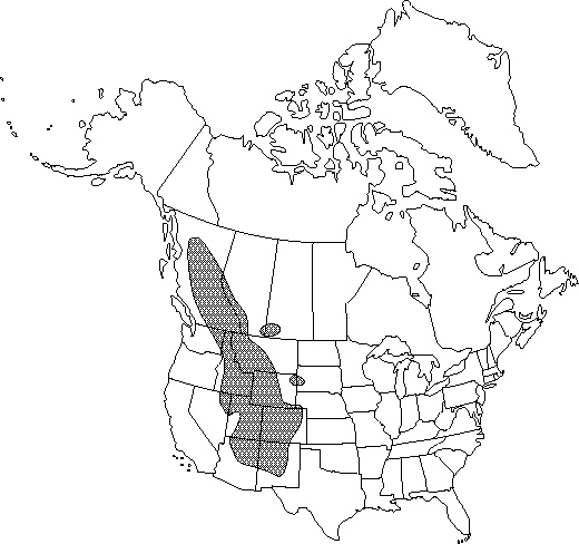 Map of <i>Ranunculus inamoenus inamoenus </i> in Canada