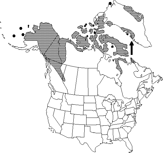 Map of <i>Ranunculus nivalis</i> in Canada