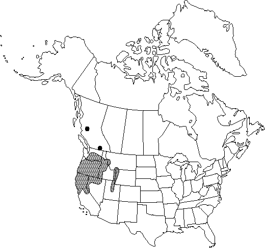 Map of <i>Ranunculus orthorhynchus platyphyllus</i> in Canada