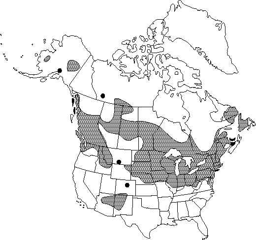 Map of <i>Ranunculus pensylvanicus</i> in Canada