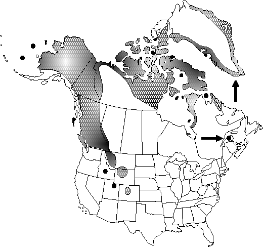 Map of <i>Ranunculus pygmaeus</i> in Canada