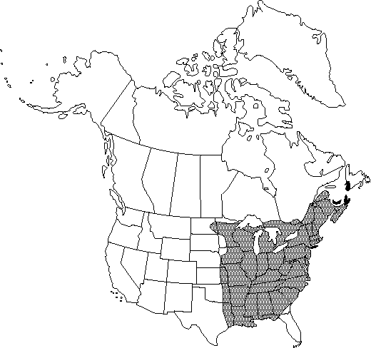 Map of <i>Ranunculus recurvatus recurvatus </i> in Canada