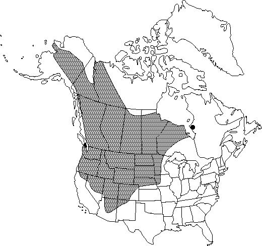 Map of <i>Ranunculus sceleratus multifidus</i> in Canada
