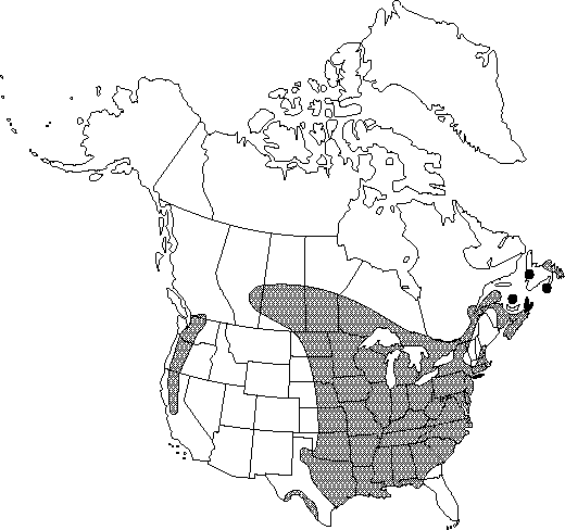 Map of <i>Ranunculus sceleratus sceleratus</i> in Canada