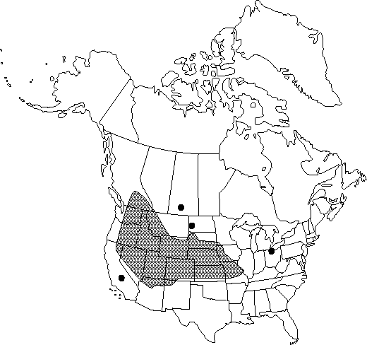 Map of <i>Ranunculus testiculatus</i> in Canada
