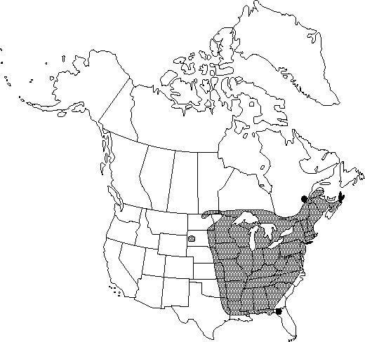 Map of <i>Sanguinaria canadensis</i> in Canada