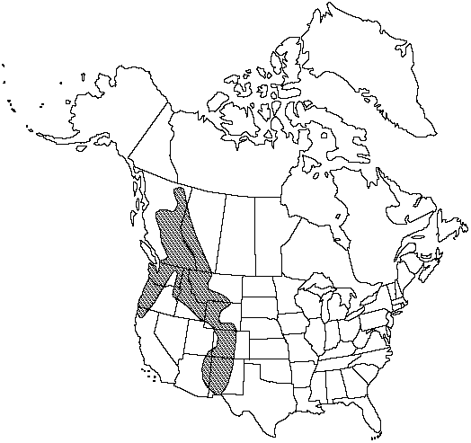 Map of <i>Selaginella scopulorum</i> in Canada