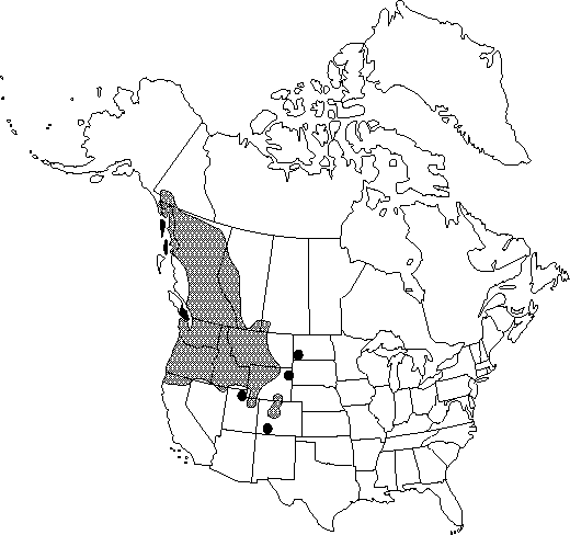 Map of Western meadow-rue in Canada