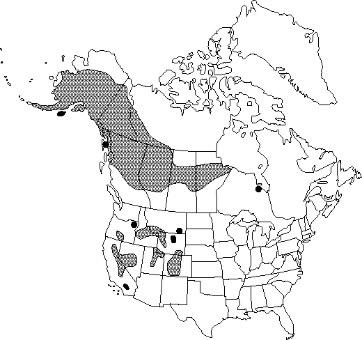 Map of Mountain meadow-rue, few-flowered meadow-rue in Canada