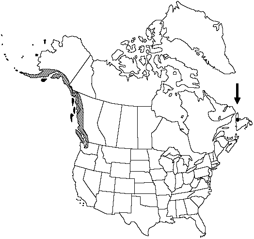 Map of <i>Thelypteris quelpaertensis</i> in Canada