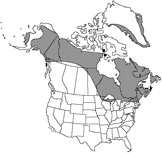 Map of Alpine cliff fern in Canada