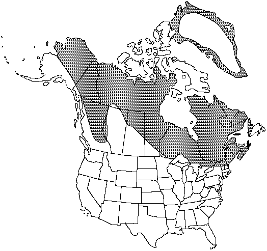 Map of Smooth cliff fern in Canada